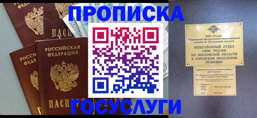 прописка гарантия в Дубовке